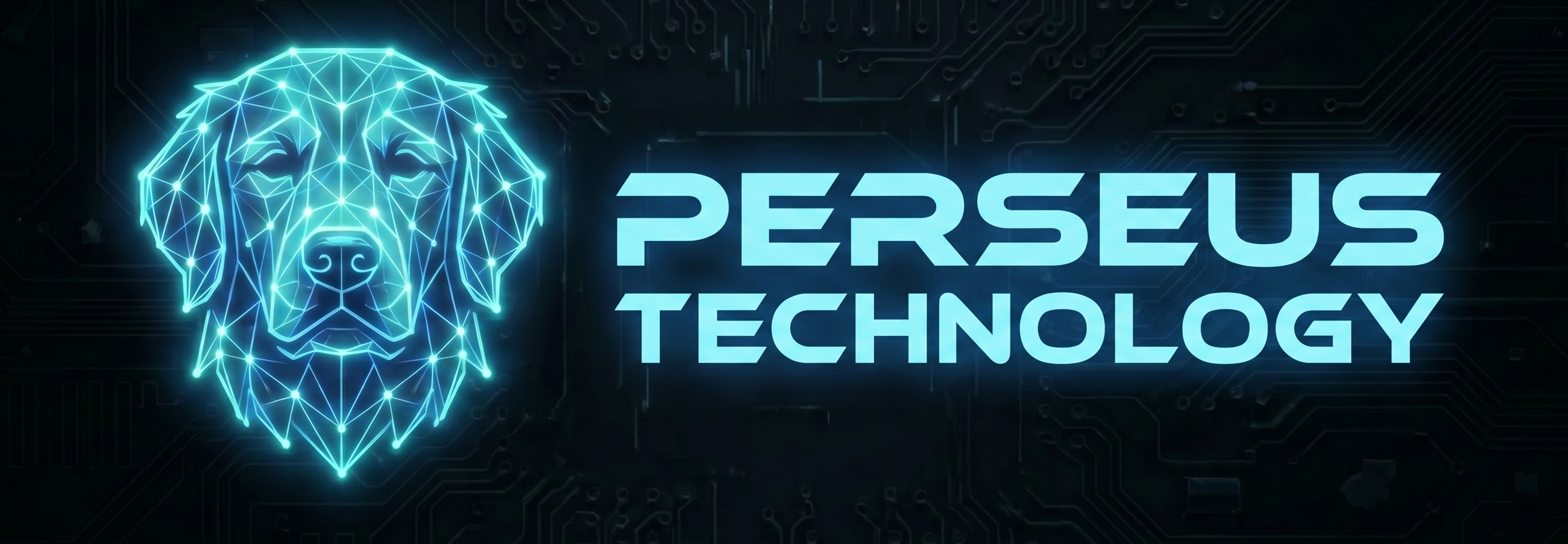Perseus Technology